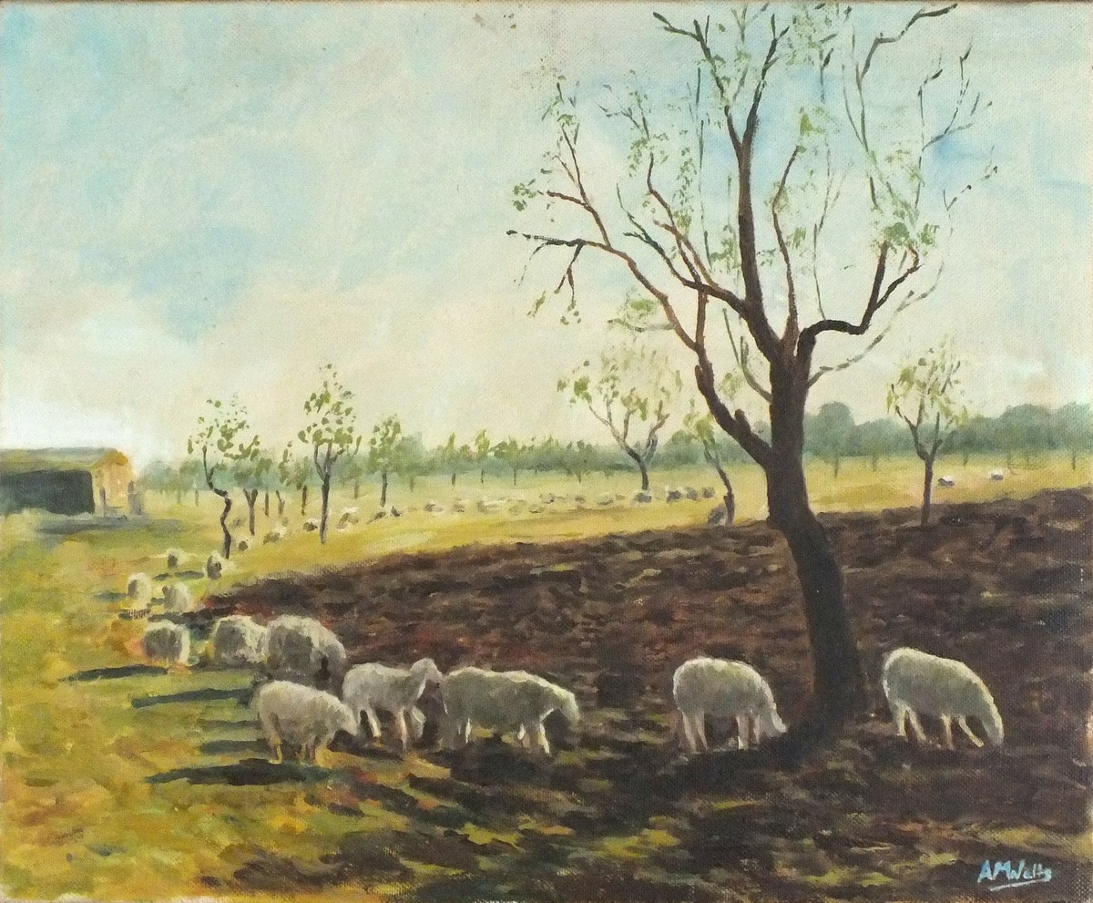 Andrew WATTS (British b. 1947) Sheep - Majorca, Acrylic on canvas, Signed lower right, 13" x 16" (