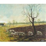 Andrew WATTS (British b. 1947) Sheep - Majorca, Acrylic on canvas, Signed lower right, 13" x 16" (