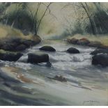 Judy TREVORROW (British 20th/21st Century) Running Water IV - a woodland stream, Watercolour, Signed