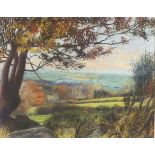 John STADDON (British b. 1946) 'Woodland Edge', Pastel, Signed & titled on label verso, Signed lower
