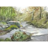 Jill ARNOLD (British Late 20th/ Early 21st Century), Woodland Stream, Watercolour, Signed & dated (