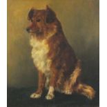 Lillian COLLIER (19th Century British School) 'Dash' -  Portrait of a Dog, Oil on canvas, Titled,