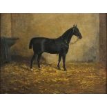 James CLARK (British 1858-1943) Black Horse Wearing Harness in a Loose Box, Oil on canvas, Signed