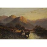 G* McGREGOR (late 19th Century) Highland Cattle at Twilight, Oil on canvas, Signed lower left, 15.