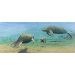 Peter BARRETT (British b. 1935) Three Manatees, Watercolour, Signed lower right, 8.5" x 20.75" (22cm