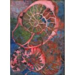 Charles SUMMERS (British b.1945) Fossilised Nautilus Shell, Mixed media collage, Signed with