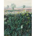 Betty Rose HODGKINS (British b.1935) Over the Hedge, Derbyshire, Oil on canvas board, Signed lower