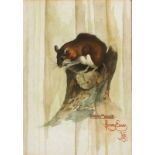 Jeremy EVANS (20th Century) Wood Mouse, Watercolour, Inscribed, signed lower right together with