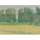 Carole PAGE-DAVIS (British b. 1955) Gap in the Willow - Kennet Valley, Pastel, Signed and dated 1988