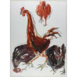 Barbara KARN (British b.1949) Top Hen, Gouache & charcoal on paper, Titled & signed verso, Signed