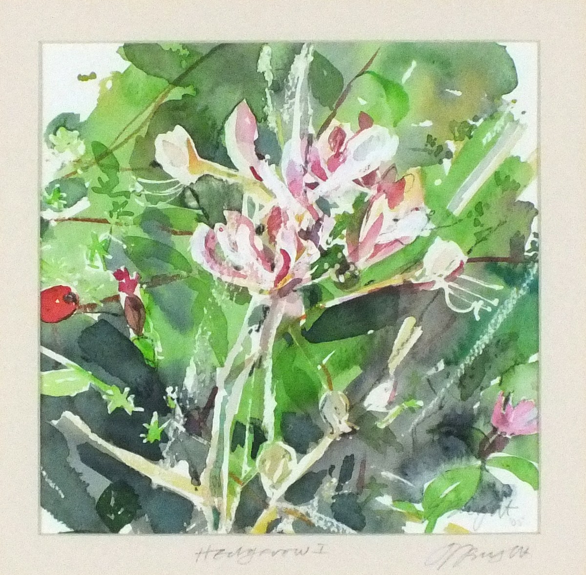 Jessica BRIGHT (British b.1950) Hedgerow I, Honeysuckle, Watercolour, Titled & signed on label