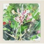 Jessica BRIGHT (British b.1950) Hedgerow I, Honeysuckle, Watercolour, Titled & signed on label