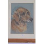 MARJORIE COX – A pastel of a Golden retriever 15 x 10 Signed under mount