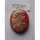 A gold mounted shell cameo brooch