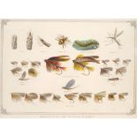 Fishing, Victorian prints of flies, tackle and the quarry. Four hand-coloured, engravings, '