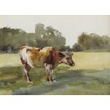 Mildred Anne Butler RWS (1858-1941) COW GRAZING, KILMURRY watercolour 4.75 by 6.75in. (12.1 by 17.