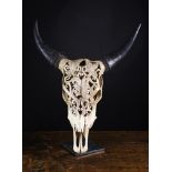 An Unusual American Folk Art Piece: A bison's skull pierced and carved with bald eagles amongst