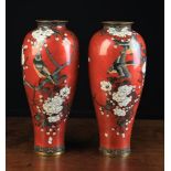 A Pair of Fine Late 19th Century Japanese Cloisonné Vases decorated with birds and prunus blossom