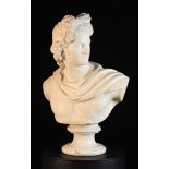 A 19th Century White Carrara Marble Bust of Apollo Belvedere raised on a turned scotia,