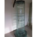 A modern shop display cabinet with five adjustable shelves - Height 208cm