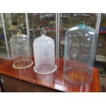 Three glass bell jars - Heights 56cm and 47cm - one has chips to top, one has chips to rim and the