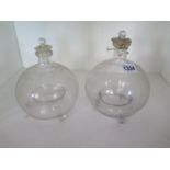 Two glass fly traps - Height 20cm and 18cm