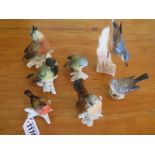 Seven porcelain figurines of birds, including one Beswick and five coal ends figurines, some