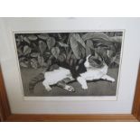 A cat print by Linda Richardson - 5/50 limited edition - sight size 26cm x 36cm - frame size 52cm