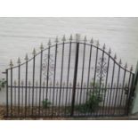 A pair of wrought iron arched gates 164cm tall x 251cm total width