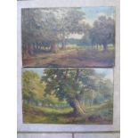 Two oil on canvas Woodland and dear scenes, one signed J Lewis 25cm x 41cm - both unframed, some