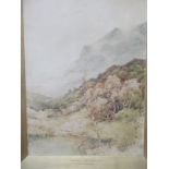 R J Hewitt - Autumn West Highlands, watercolour, signed, approx overall size 53.5cm x 43cm - some
