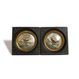 A pair of Victorian miniature feather pictures, each depicting a bird in a tree, painted on glass,