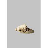 A JAPANESE IVORY NETSUKE MEIJI 1868-1912 Depicting a puppy lying on a large straw hat and gnawing at