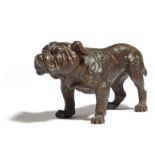 An Austrian cold painted bronze model of a bulldog, stamped 'DEPOSE GESCHUTZT 1065', late 19th /