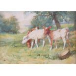 ‡Lucy Elizabeth Kemp-Welch RA (1869-1958)Three calves in an orchardSignedWatercolour22.5 x