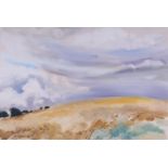 ‡John Hitchens (b.1940)Sokenholes SummerSigned also signed titled and dated 1966 versoOil on