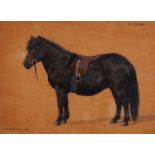 ‡Frances Mabel Hollams (1877-1963)RosinaSigned titled and dated ‘34Oil on panel25.5 x 35.5cm