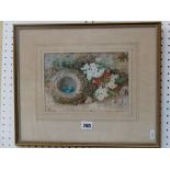 A good quality 19th century watercolour and bodycolour study of a birds nest, apple blossom and a