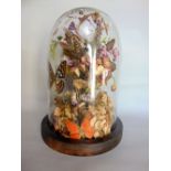 Taxidermy interest - A cased Victorian diorama of butterflies amongst foliage under a glass dome