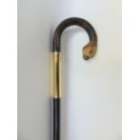A walking cane with carved parrot head crooked handle, 92cm long