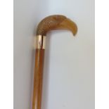 A Malacca shafted walking cane with eagle head knop fitted with glass eyes