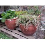 Four similar contemporary matt glazed planters of circular tapered form with moulded rims containing