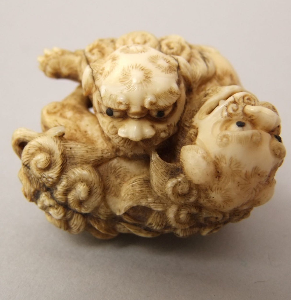 A good 19th century Japanese netsuke in the form of two playful dogs of fo, 4cm high - Bild 3 aus 5