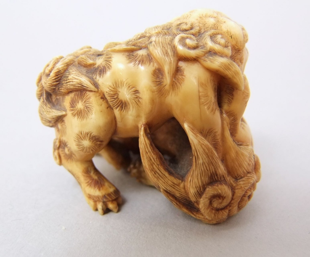 A good 19th century Japanese netsuke in the form of two playful dogs of fo, 4cm high - Bild 5 aus 5