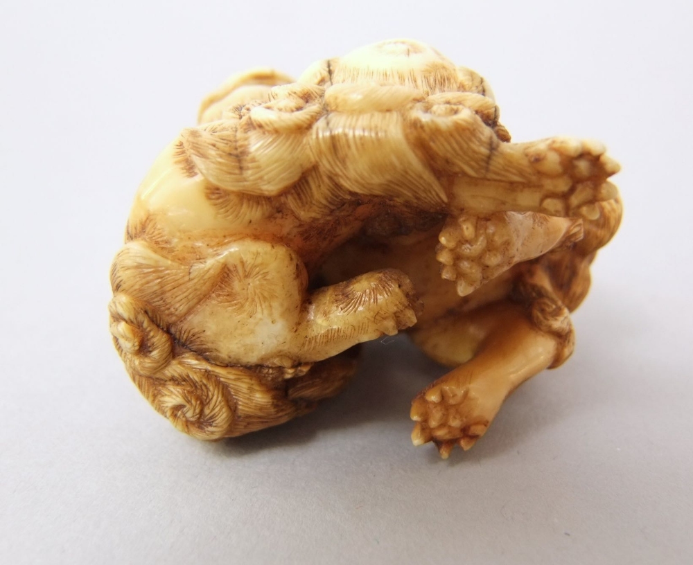 A good 19th century Japanese netsuke in the form of two playful dogs of fo, 4cm high - Bild 4 aus 5