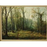 A 20th century oil painting on canvas by G Hillman of a woodland scene, signed bottom left, with