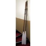 A pair of rowing boat oars with cream painted paddles and tips, 236 cm long