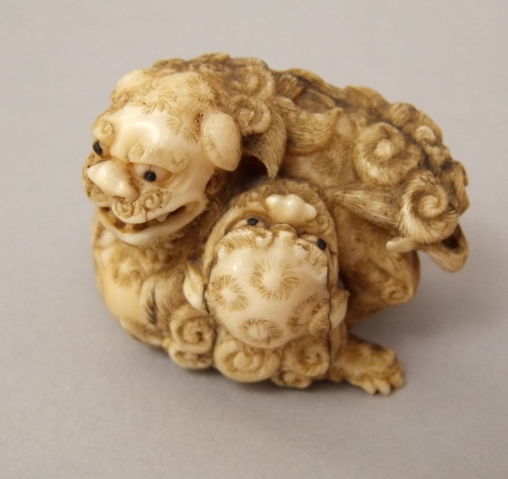 A good 19th century Japanese netsuke in the form of two playful dogs of fo, 4cm high - Bild 2 aus 5