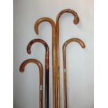 Six various walking, sticks all with crooked handles