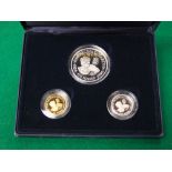 Westminster Royal Mint cased set of proof coins - 1996, Guernsey family set, £25, 24ct gold coin,